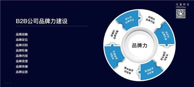 大品牌战略体系 商业价值生长的时代引擎